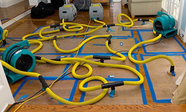 Professional Water Damage Restoration technician working in Longmont, CO
